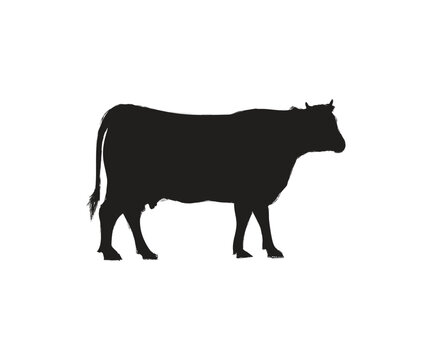 Cow graphic icon. Cow black silhouette isolated on white background. Vector illustration
