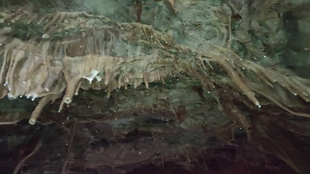 Maratea - Fila di stalattiti nella Grotta delle Meraviglie