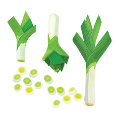 Vector illustration single and group off green leek vegetables. Organic agriculture food product. Healthy, delicious, nutrition and fresh for vegan