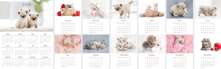 2024 Photo calendar with cute cats. Annual daily planner template with feline kitty animals. The week starts on Monday - obrazy, fototapety, plakaty