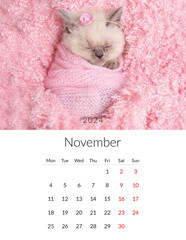 November 2024 Photo calendar with cute cats. Annual daily planner template with feline kitty...