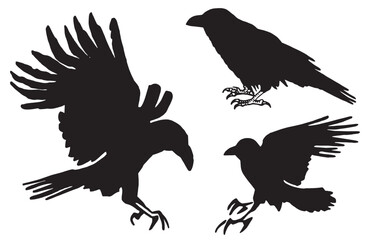 Obraz premium Ink pen vector set of silhouettes of crows isolated on white background. Elements for design,tattoo and printing 