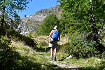 Mann wandert im Ultental in Südtirol 