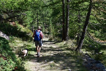 Mann und sein Lagotto Romagnolo Hund wandern im Ultental in Südtirol 