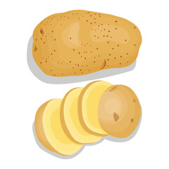 Vector illustration single and group of brown potato in flat style. Root vegetable organic product. Agriculture food healty nature. Whole and sliced with green leaves, peel and cut