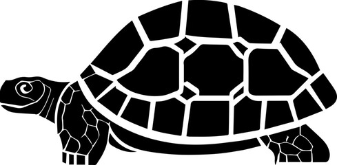 Galapagos Tortoise icon 4