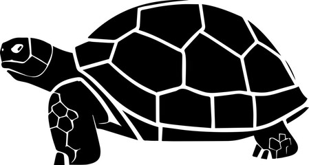 Galapagos Tortoise icon 5