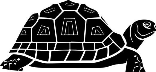 Galapagos Tortoise icon 3