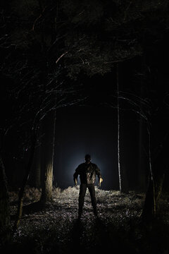 Demon standing amidst trees in forest at night