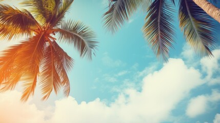 Fototapeta na wymiar View of blue sky and palm trees from below, vintage style, tropical beach and summer background, travel concept.
