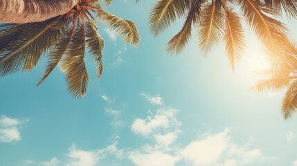 View of blue sky and palm trees from below, vintage style, tropical beach and summer background,...