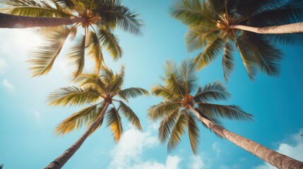 Fototapeta na wymiar View of blue sky and palm trees from below, vintage style, tropical beach and summer background, travel concept.
