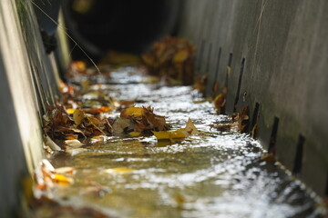 Urban irrigation ditch with water and fallen leaves.