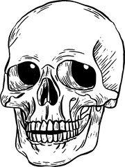 Creepy skull drawing Halloween decoration in black and white color, PNG file no background