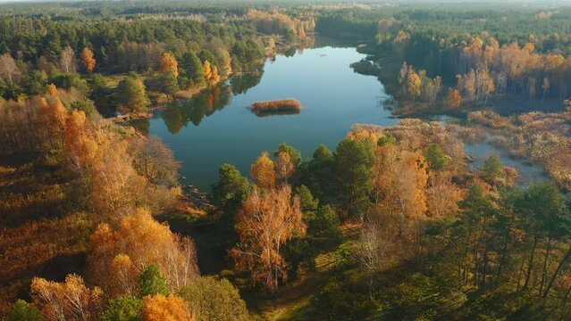 Drone footage of untouched wilderness with forest. Small Polissya, Ukraine, Europe.