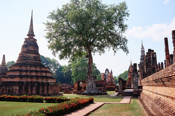Fototapeta premium Sukhothai, Pagoda at One of the famous temple in Sukhothai,Temple in Sukhothai Historical Park, Sukhothai Province,Thailand. UNESCO world heritage