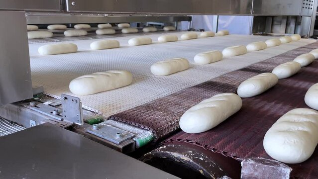 Big bakery bread industrial production line. Fresh bread dough entering the Bread Baking Furnace. Conveyor Belt of Industrial Bread Baking Tunnel