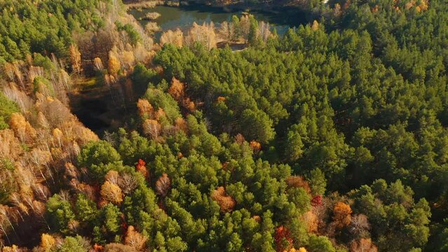 Fantastic view of untouched wilderness with forest and lake. Small Polissya, Ukraine, Europe.