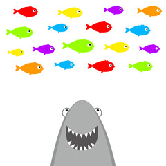Shark face head with open mouth and sharp teeth looking at colorful fish set. Cute cartoon kawaii animal character. Sea ocean wild animal. Sticker print template. Flat design. White background