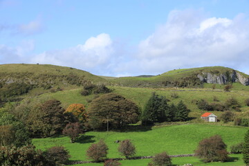 Landscape of County Leitrim, Ireland featuring shed with galvanised iron roof situated on green...