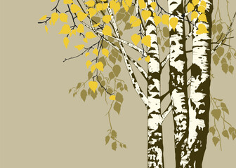 Birch grove in autumn time. Vector background (card, panel). Nature  illustration.