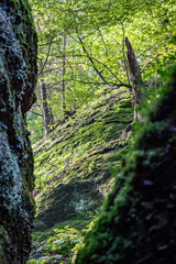 Drachenschlucht