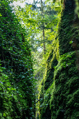 Drachenschlucht