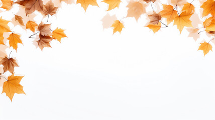 Naklejka na ściany i meble maple leaves on a white background isolated frame of fallen leaves autumn blank