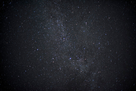 Naturaleza, desde lo m&aacute;s peque&ntilde;o a lo m&aacute;s grande.