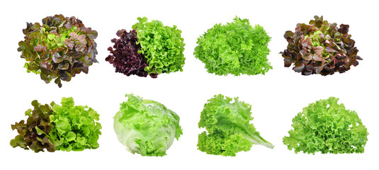 set of lettuce vegetable isolated, png - obrazy, fototapety, plakaty