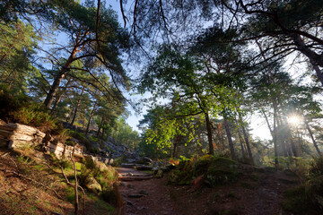 Fototapety na wymiar - Fototapeta24.pl