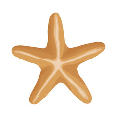 Obraz premium Vector illustration of colorful starfish in flat style. Ocean animal star shape nature aquatic life. Summer design isolated on white background in cartoon.