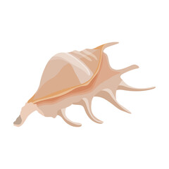 Vector illustration single or set of sea shell in flat style. Animal various mollusc shell in cartoon. Design element for summer beach ocean aquatif life holiday