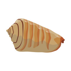 Vector illustration single or set of sea shell in flat style. Animal various mollusc shell in cartoon. Design element for summer beach ocean aquatif life holiday