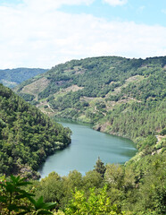 Fototapeta na wymiar Río Miño (Chantada y O Saviñao, Lugo)