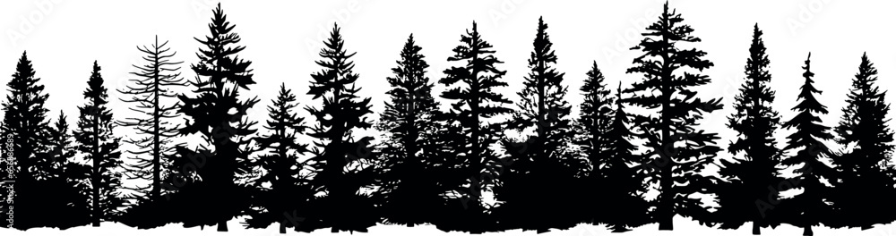 Poster a versatile set of horizontal silhouettes showcasing coniferous fir trees, perfect for adding a touc