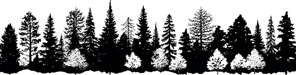 A set of coniferous spruce trees silhouettes, standing tall and lined up horizontally on a transparent background. Generative AI 