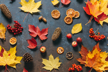 Autumn mood flat lay. Floral pattern made of dreid fall leaves, red beries, cones, apples on dark blue table background. Happy holidays, thanksgiving day, cozy home weekend, hygge. Top view, overhead.