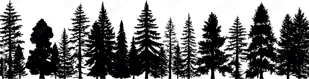 Poster a set of coniferous spruce fir trees in a horizontal arrangement, depicted as black silhouettes on a