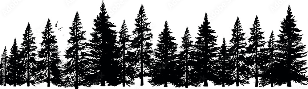 Poster a set of horizontal silhouettes featuring coniferous spruce trees against a transparent background. 