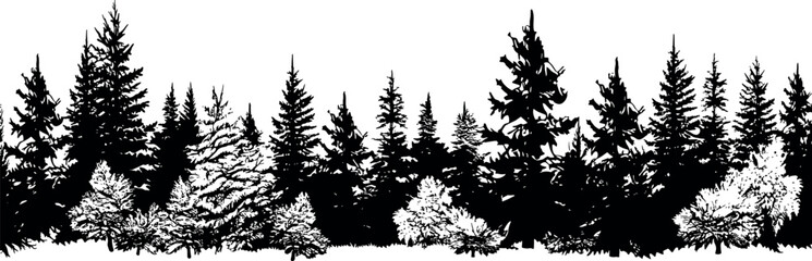 Fototapeta premium Set of horizontal silhouettes of coniferous spruce trees, creating a serene depiction of fir trees against a transparent background. Generative AI 