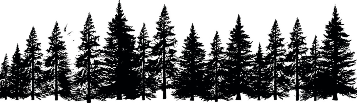 A set of horizontal silhouettes featuring coniferous spruce trees against a transparent background. Perfect for a scenic fir tree landscape. Generative AI 