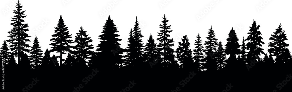 Poster fir trees silhouettes set in a horizontal arrangement. coniferous spruce trees on a transparent back