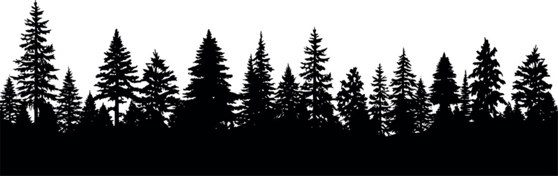 Fir trees silhouettes set in a horizontal arrangement. Coniferous spruce trees on a transparent background. Generative AI 