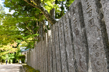 Obraz premium koyasan(Mount Koya)
