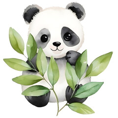 Cute panda watercolor design with transparent background, PNG illustration