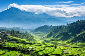 Zelfklevend Fotobehang Panoramic landscape of Indonesian rice field terraces on a mountain, ricefield terrace. super wide rice field panorama © arhendrix