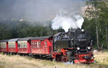 Fototapeta na wymiar Dampflokfahrt mit der Harzer Schmalspurbahn 