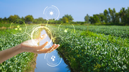 Open hand holding HUD interface.Agriculture green technology and science concept, ecology system.Hi-tech and futuristic.Digital and technology concept background.