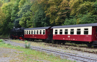 Dampflokfahrt mit der Harzer Schmalspurbahn 
